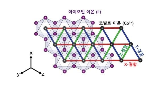 이미지=연합뉴스