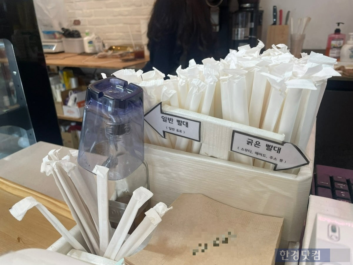 오는 11월 '일회용품 사용 규제'에 앞서 한 카페에서 종이 빨대를 사용 중인 모습. / 사진=김세린 기자