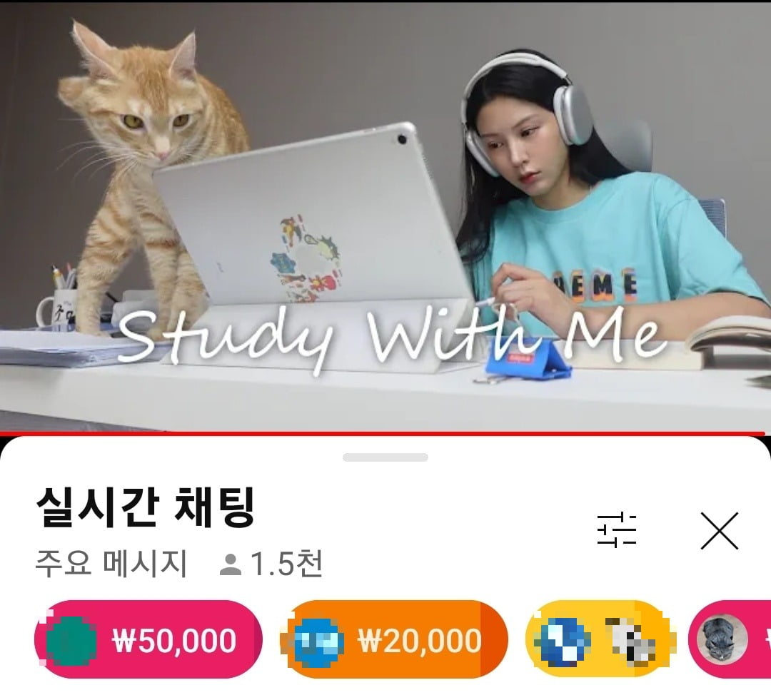 또 슈퍼챗 1000만원 대박날까…조민 유튜브에 공부 영상 공개