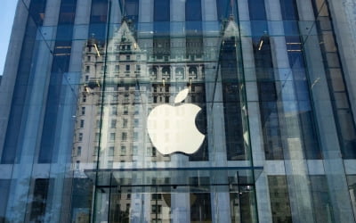 "애플, 5년만에 아이패드 첫 주요 업데이트" 블룸버그