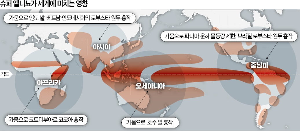 과일 몇개 담았을 뿐인데…"장보기 무서워요" 심상치 않은 물가 [강진규의 데이터너머]