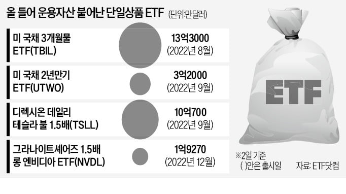 몰빵형 vs 위험분산형…카지노 주사위 게임 투자 양극화