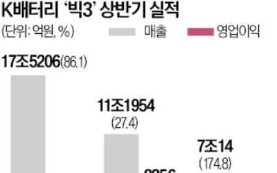 온라인카지노 달리자 K배터리·타이어도 질주