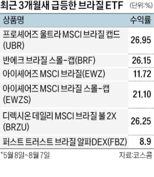 브라질에 무슨 일이…ETF 수익률 초강세