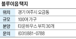 블루이음 택지, 여주 타운하우스 택지…주변 시세 70%