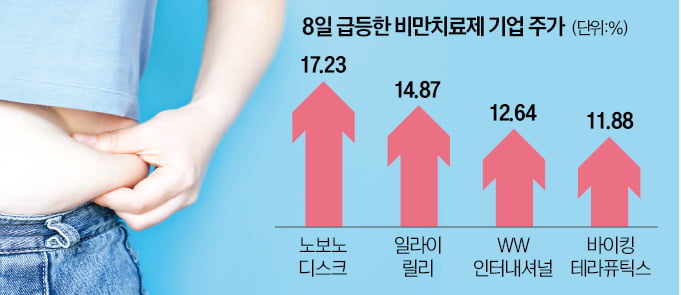 비만치료제 약발…릴리·노보노디스크 날았다