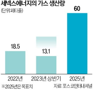 포스코인터 자회사 세넥스…호주서 대규모 가스 공급 수주