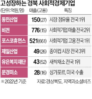 '공익·고성장' 둘 다 잡은 경북 사회적기업