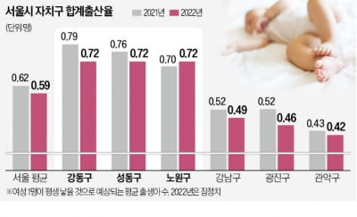 서울 합계출산율 끌어올린 성동·강동·노원구