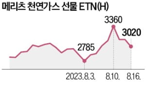 롤러코스터 타는 천연카지노 사이트 ETN