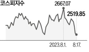 카지노 슬롯머신 규칙 장중 2500선 붕괴