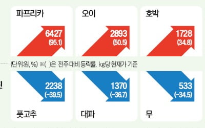 배추·무 가격 안정세…'김치 대란' 우려 덜어