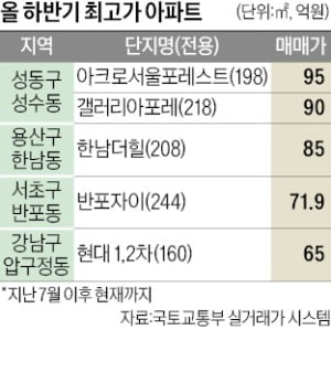 성수 95억·한남 85억…최고가 아파트 '톱3' 차지