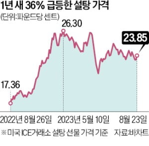  장사 잘 되는데 왜…"옆집도 난리예요" 탕후루 가게 초비상   