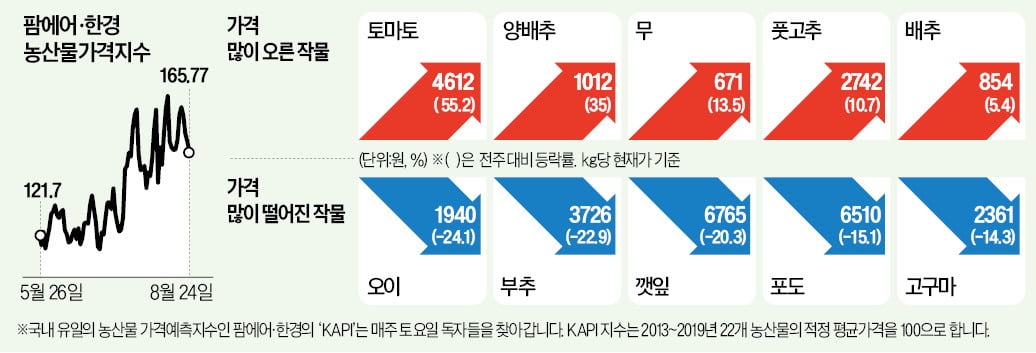 추석 다가오는데…이상기온에 사과값 급등