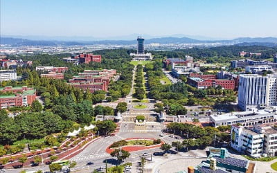 대구대학교, 창작 특성화, 보건·안전 특성화 6개 학과 신설