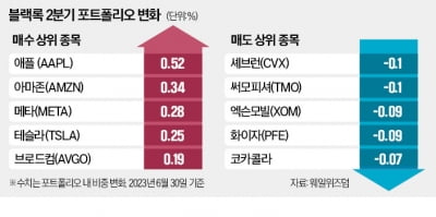 블랙록, 애플·메타 더 담고 셰브런 비중 줄였다