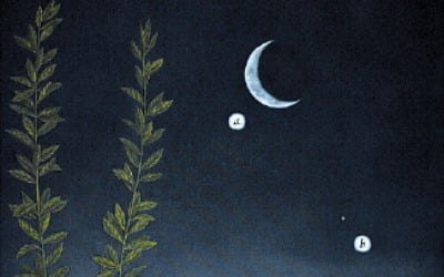 해와 달, 바다와 별…소재는 더없이 흔한데, 왜 신비롭지?