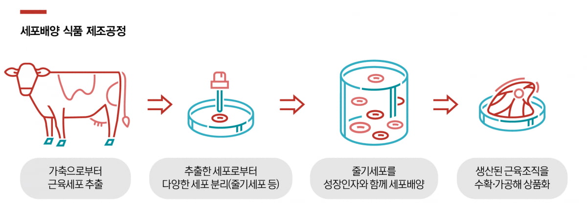 [special]“세포배양 식품 통해 환경보호·대체식량 해결”