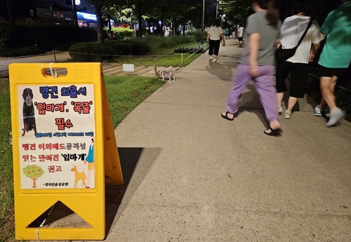 강아지도 "앗! 뜨거"…'산책 성지' 경의선숲길 밤에만 북적