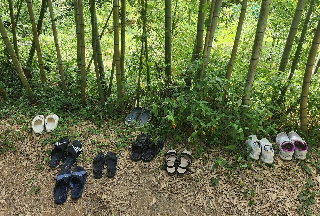 "더워도 건강에 최고"…울산은 지금 '맨발 걷기' 열풍