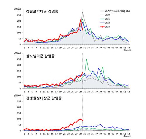 폭염에 복통 유발하는 식중독 급증…"충분히 익혀 먹어야"