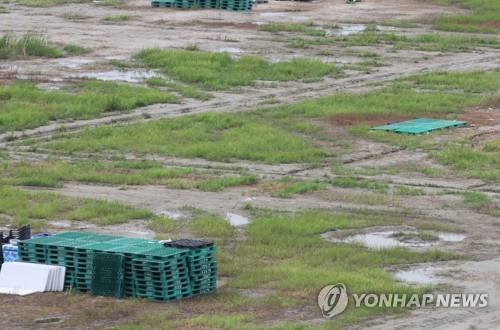 표적이 된 새만금내부개발 구상…'그때는 맞고 지금은 틀리다?'