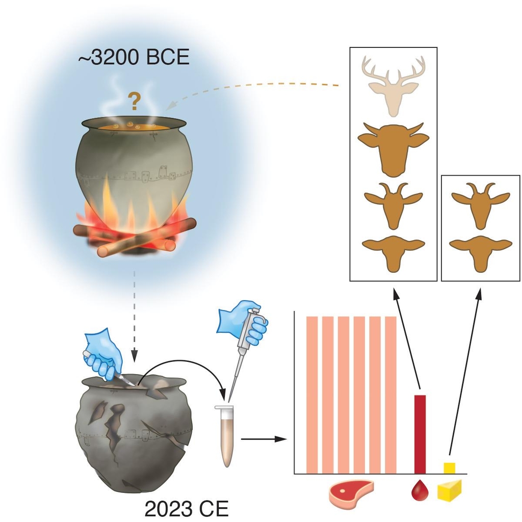 [사이테크+] 청동기 솥단지 분석해보니…"소·사슴·양·염소 요리 흔적"