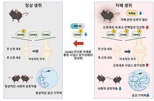 [이지 사이언스] 자폐 스펙트럼 장애 극복을 향해