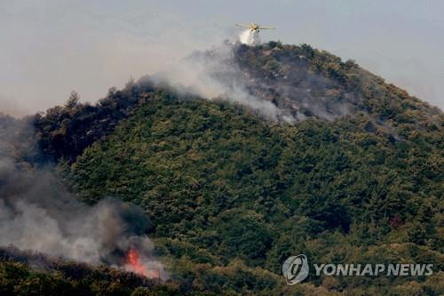 북미·유럽 '역대급 산불'…"참사 원흉 따지면 결국 기후변화"