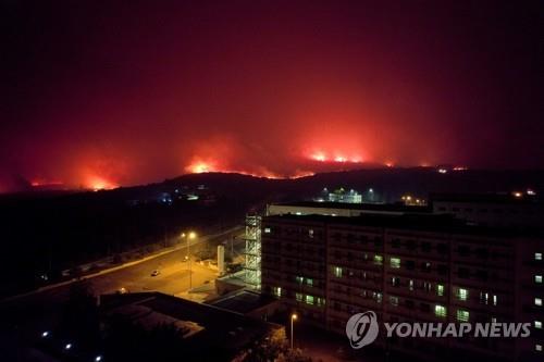 불가리아도 산불로 비상…북미·유럽 사망자 속출