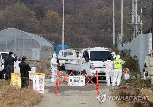 강원도, 철원 아프리카돼지열병 방역대 이동 제한 해제