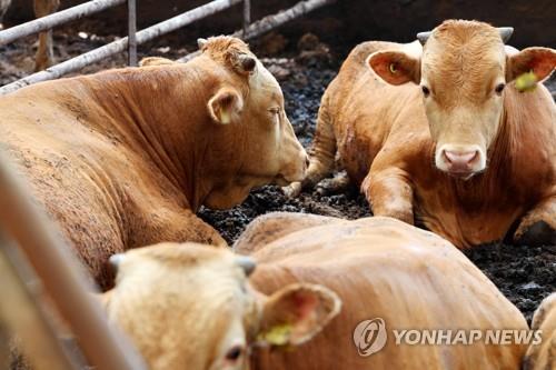 나주시-축협, 축사 환경개선 추진