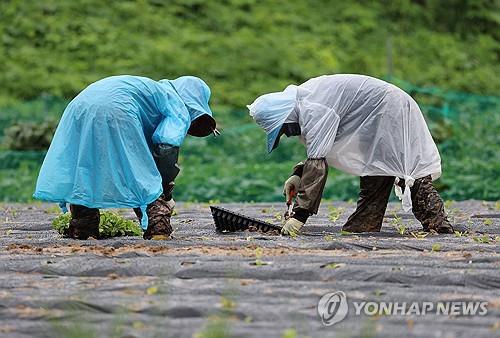 강원 흐리고 가끔 비…영서 북부 100㎜ 이상