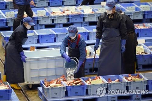 日수산청, 태풍 영향 후쿠시마 물고기 못잡아 검사 못 해