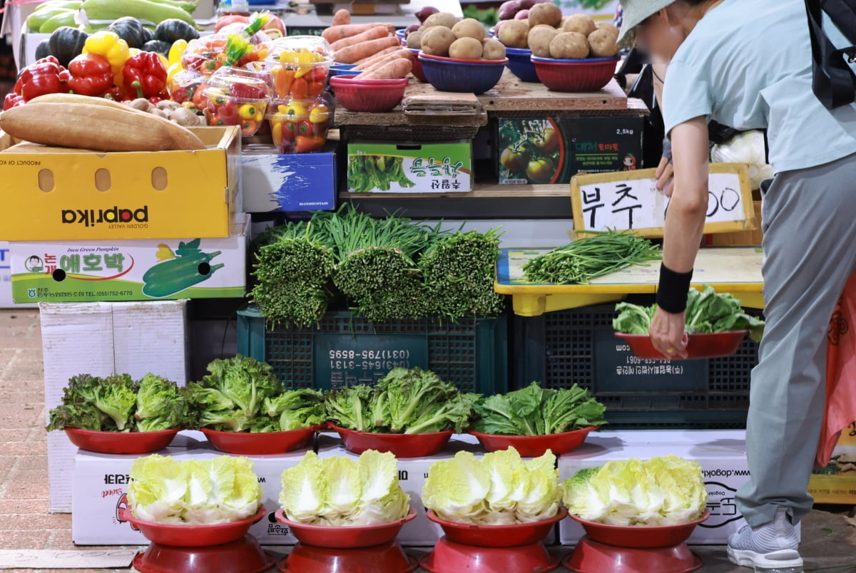 한은 "물가, 8월부터 다시 높아져…연말까지 3% 안팎"