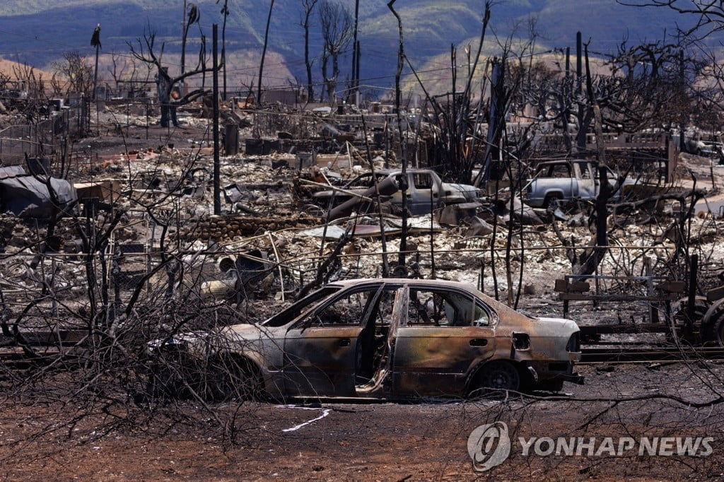 공식 사망자 100명 넘었는데…"하와이, 실종자 1천명 이상 가능성"