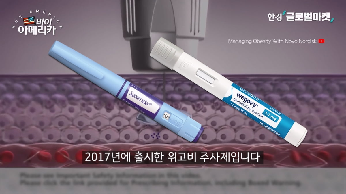 당뇨 치료제에서 얻은 의외의 효능…시총 순위 뒤집은 일라이릴리 [바이 아메리카]