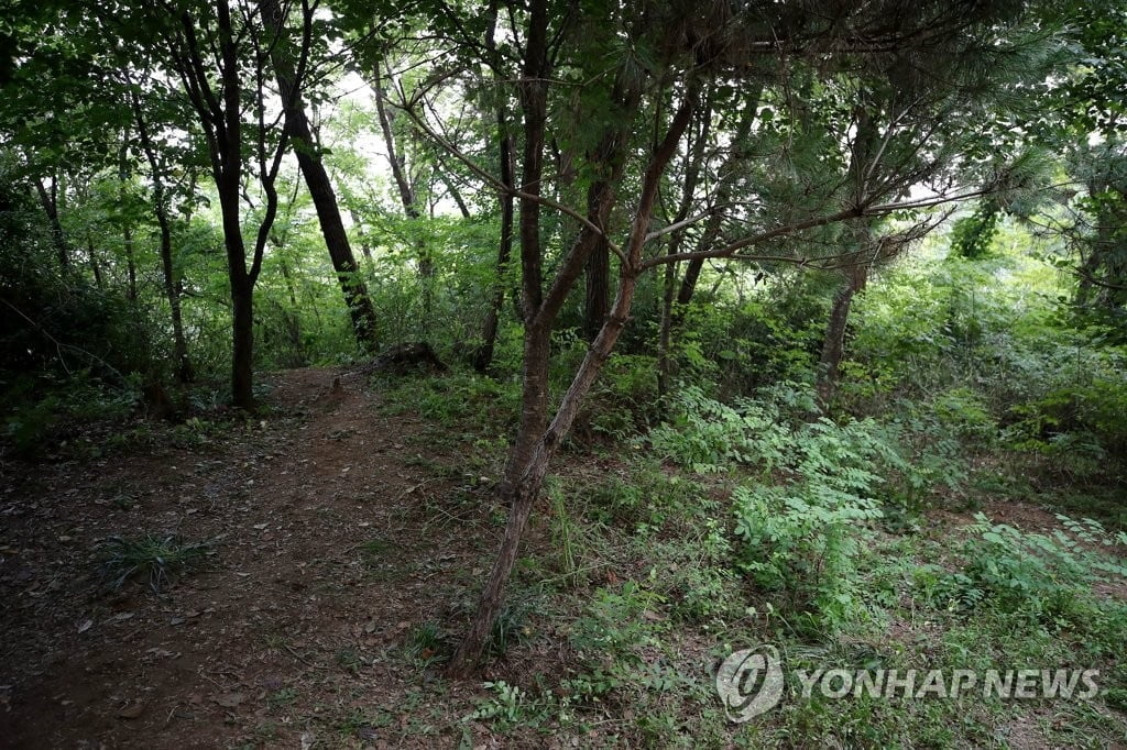 신림동 등산로 성폭행범 신상공개는 아직…"검토 단계"