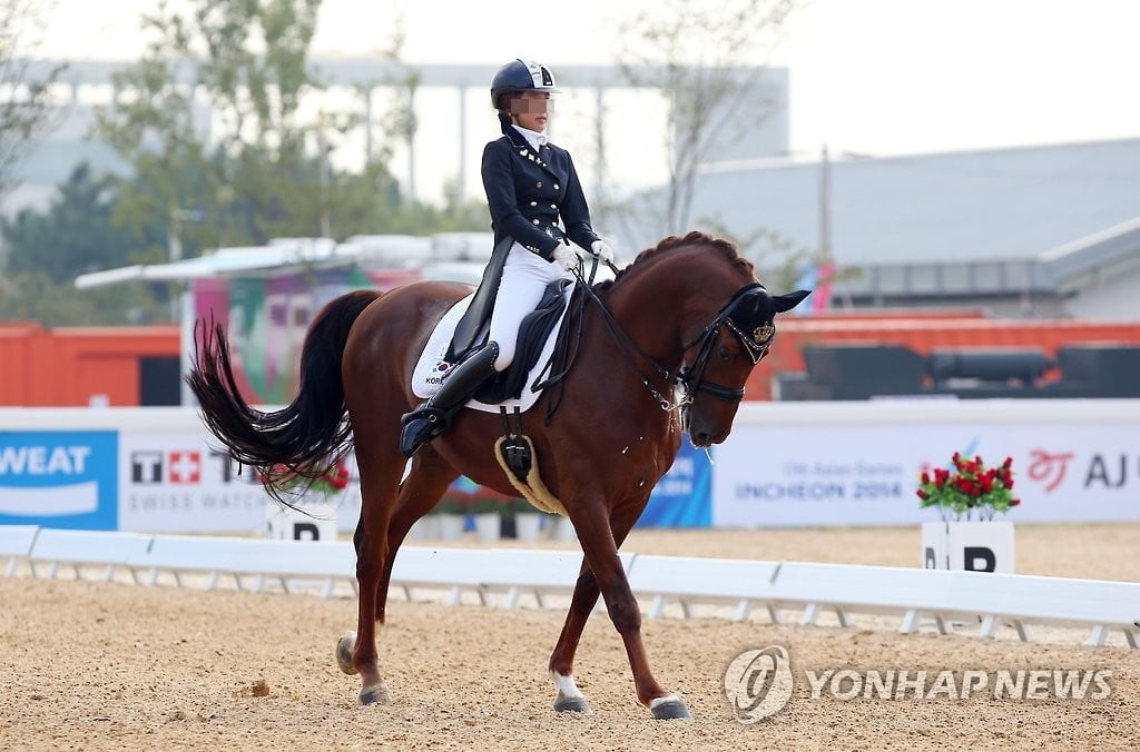 정유라 타던 7억짜리 말, 7천만원에 낙찰