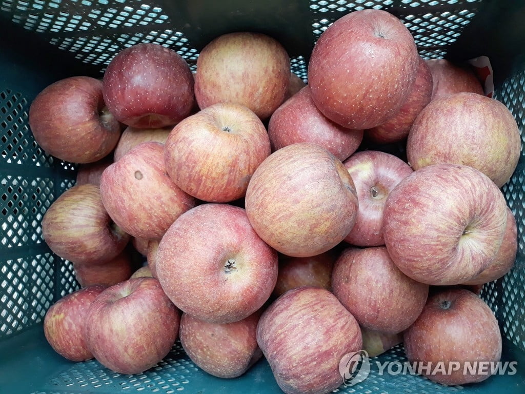 마트서 흉기 난동 40대..."사과가 썩어서"