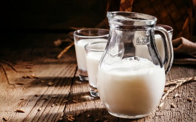 서울우유, 오는 10월부터 흰우유 출고가 인상