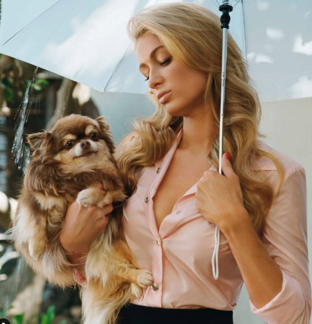 Paris Hilton, dog of 23 years crosses rainbow bridge