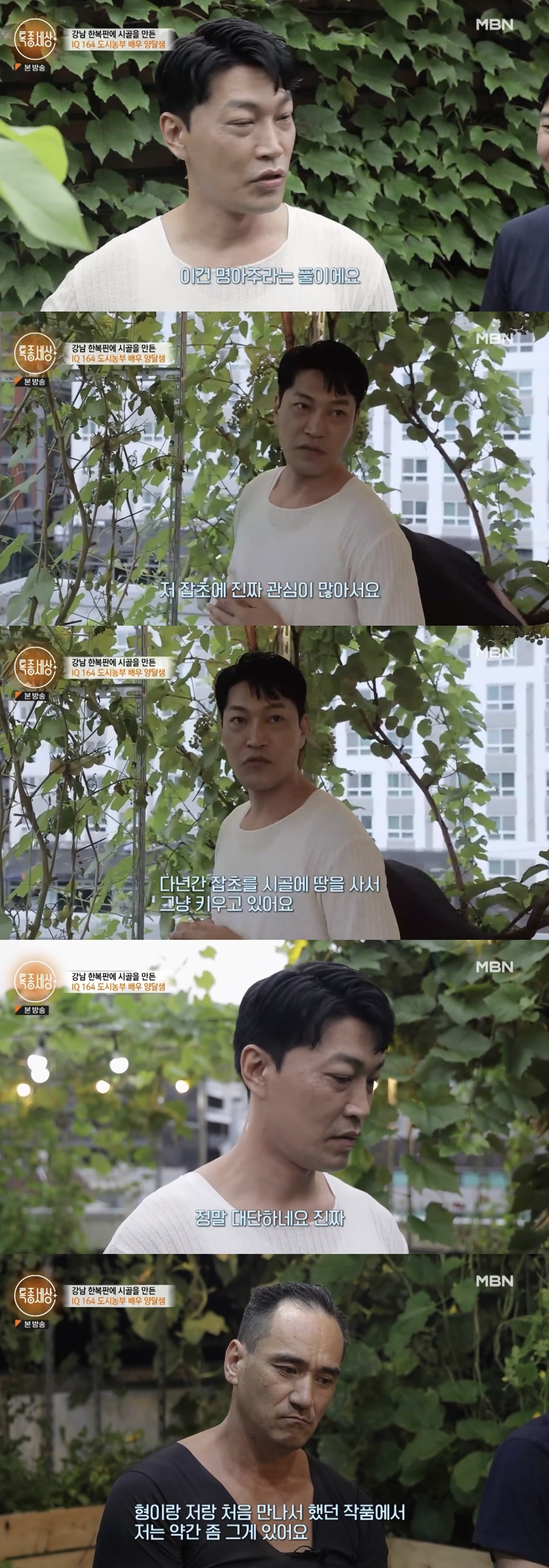 Choi Gwi-hwa "I bought land in the countryside and grew weeds for many years"