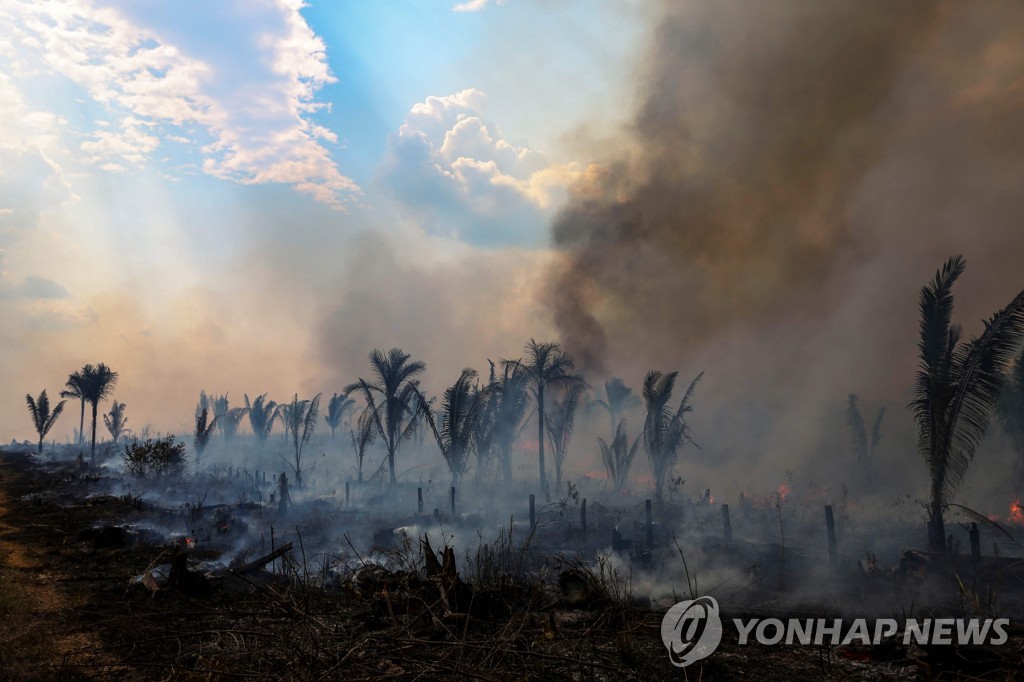 7월 아마존 불법 삼림 벌채 66% 감소, 6년 만에 최저치