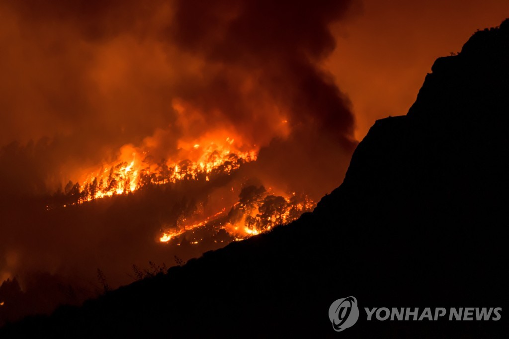 스페인 카나리아제도 테네리페 섬에 대형 산불…"통제 불능"