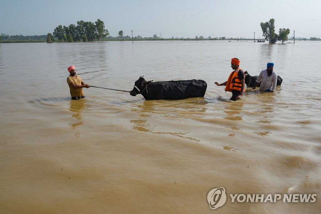 지구촌 여름 잔혹사…가장 더운 7월 이어 8월 재난종합세트