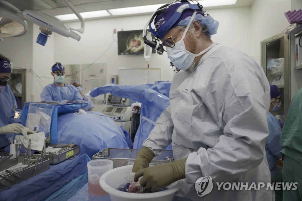 美서 뇌사자에 유전자 조작 돼지 신장 이식…32일째 정상 기능