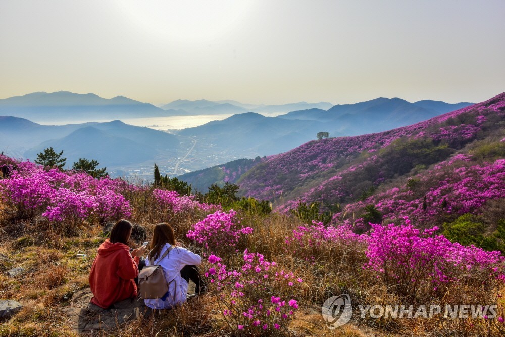 영취산인지 진례산인지 헷갈려…여수시, 지명 통일 추진