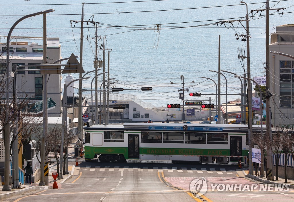 [#핫플콕콕] 화려한 도시 불빛과 파도가 숨 쉬는 해운대